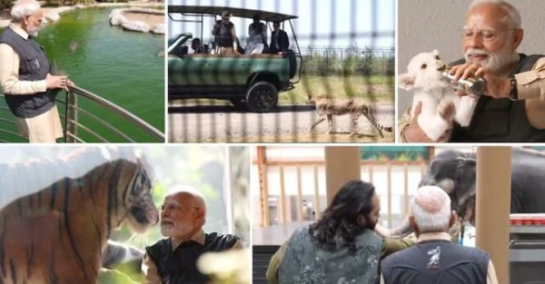PM Modi Opens Vantara Wildlife Sanctuary, Forms Special Bond with Endangered Species